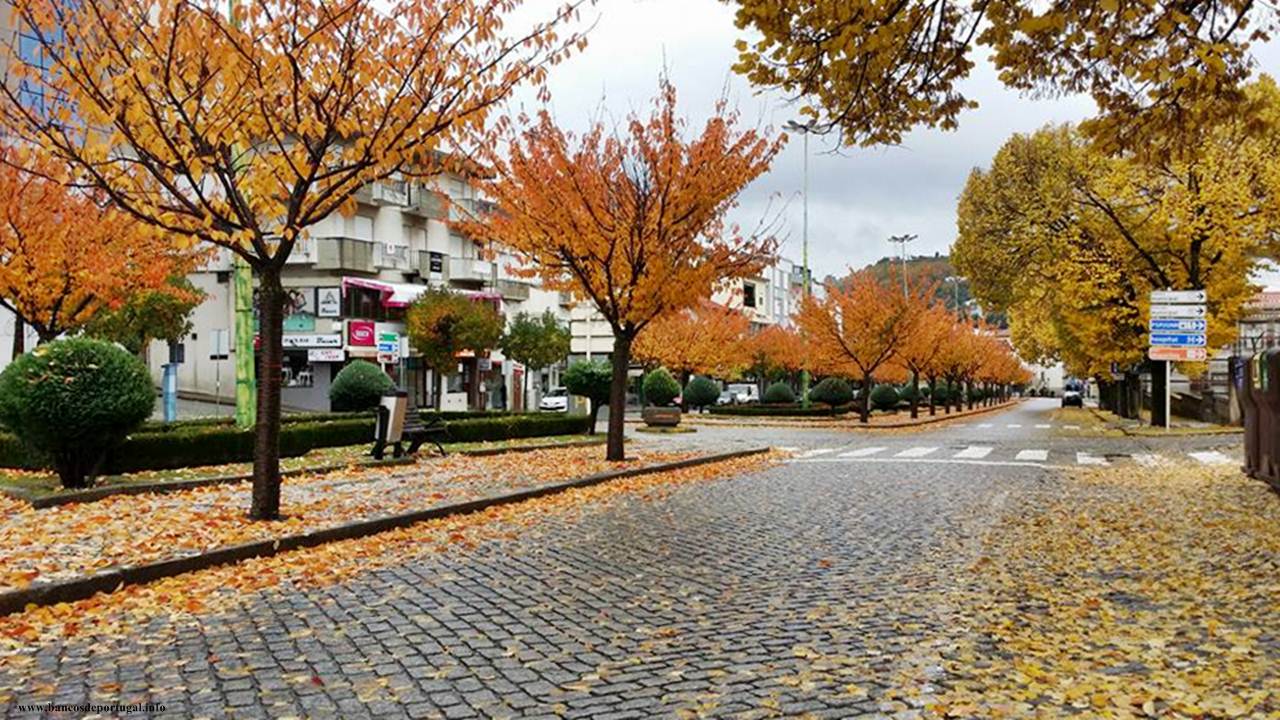 Avenida João da Cruz em Bragança onde se encontra o Novo Banco